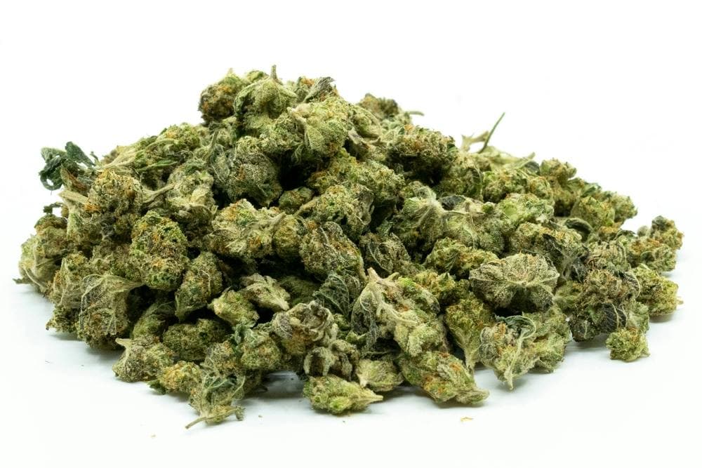 CBD Blüten kaufen – Deine Quelle für Premium CBD Blüten zu einem fairen Preis